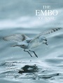 EMBO Journal